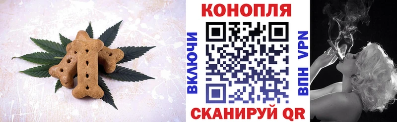 купить закладку  Вольск  Cannafood конопля 