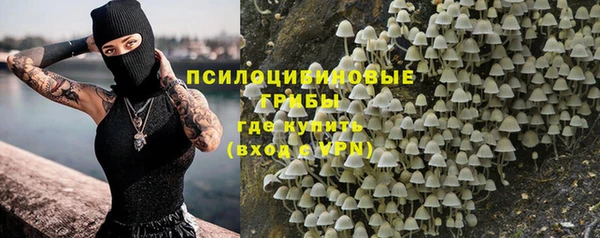mdpv Белокуриха