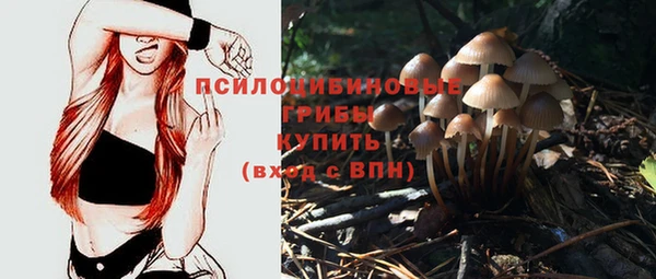 mdpv Белокуриха