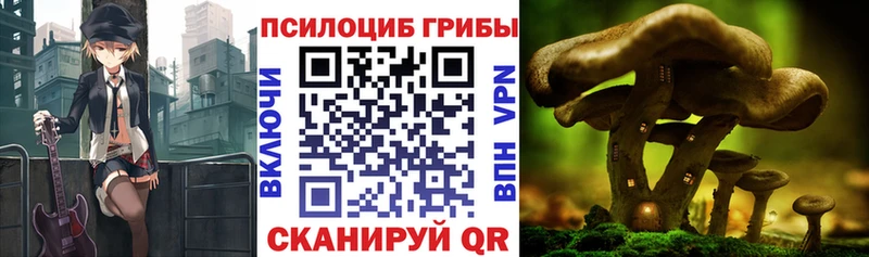 Псилоцибиновые грибы Magic Shrooms  Вольск 